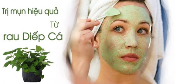Rau diếp cá có thực sự phù hợp để trị mụn trứng cá? tri-mun-tu-rau-diep-ca