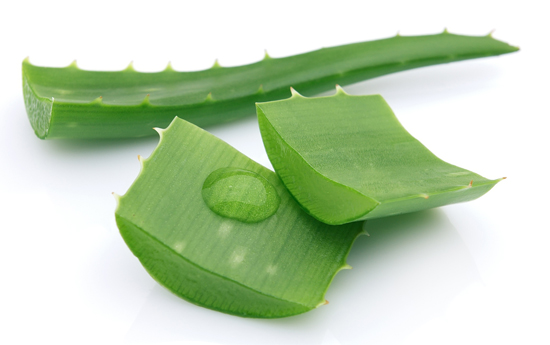 Trị mụn trứng cá tại nhà với lô hội cach-tri-mun-trung-ca-bang-lo-hoi