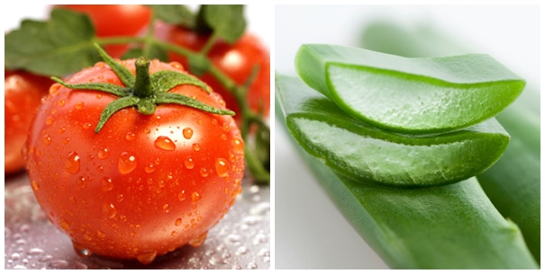 Bí quyết trị mụn từ thực phẩm hiệu quả dành cho bạn từ nha đam và cà chua